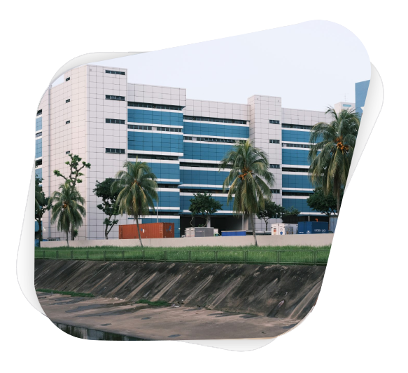 green palm trees near white concrete building during daytime